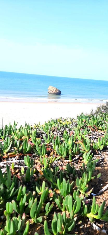 Caracola Beach Matalascañas Eksteriør bilde